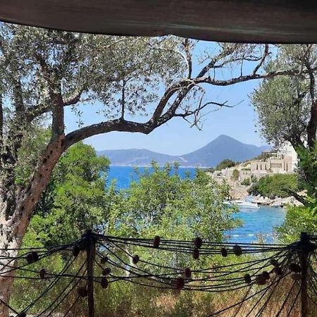 Apartmani Roganovic Luštica Extérieur photo
